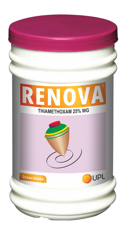Renova