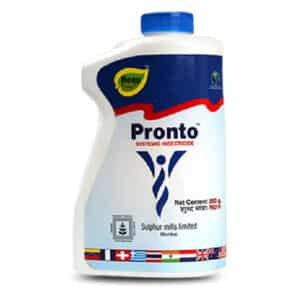 Pronto