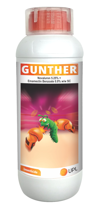 Gunther