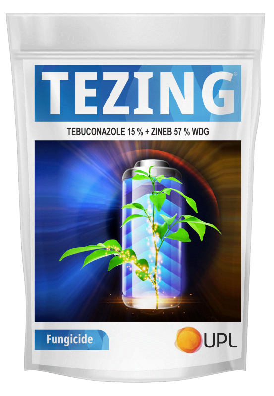 Tezing