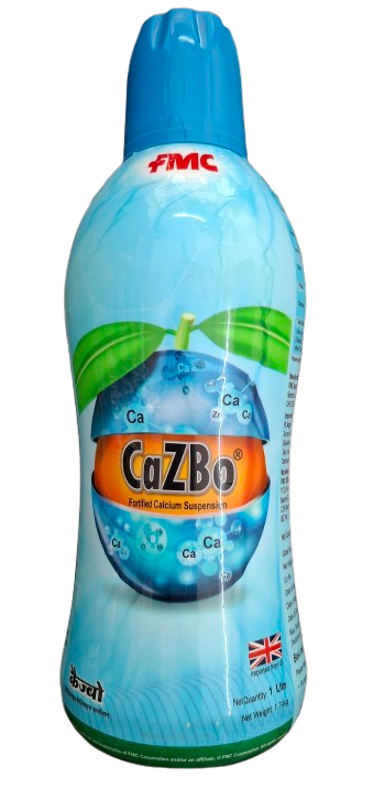 CaZBo