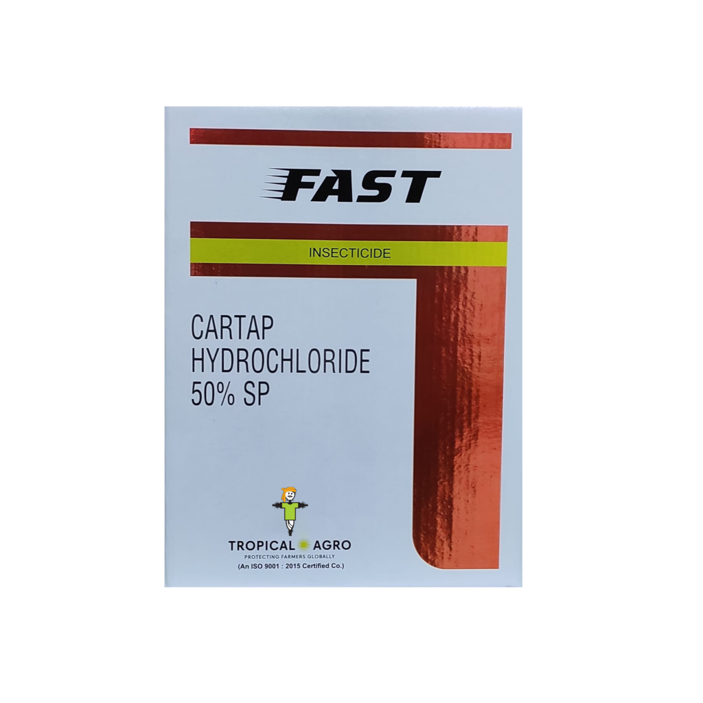 Fast
