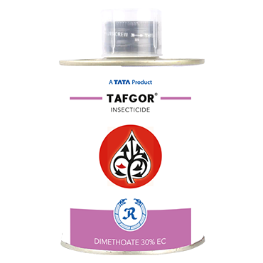 Tafgor