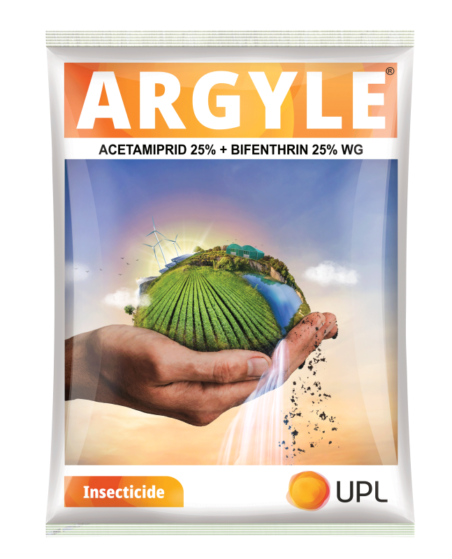 Argyle