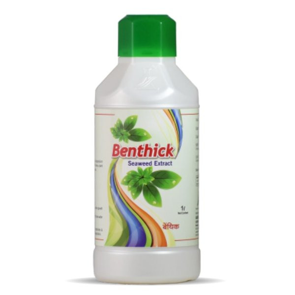 Benthick