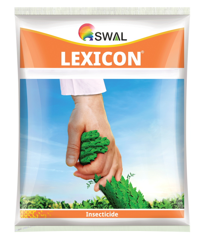 Lexicon