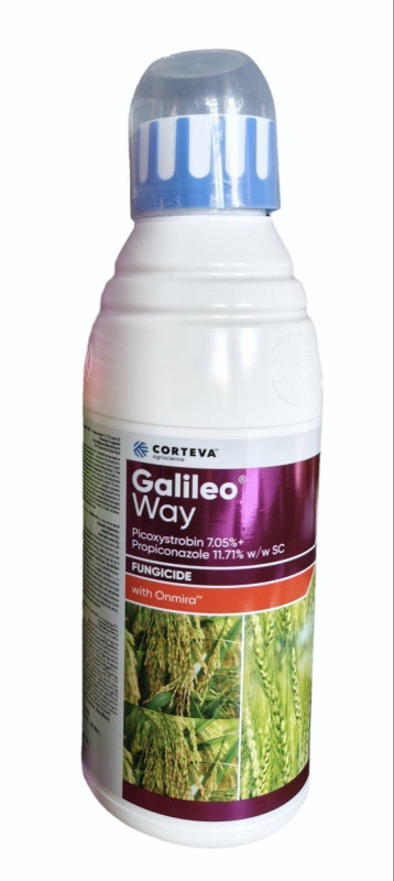 Gallileo Way