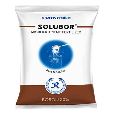 Solubor