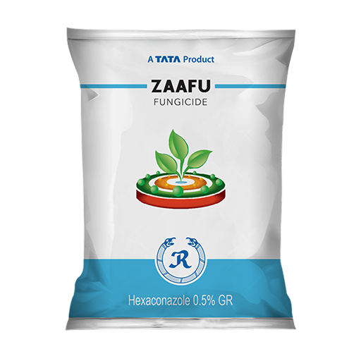 Zaafu