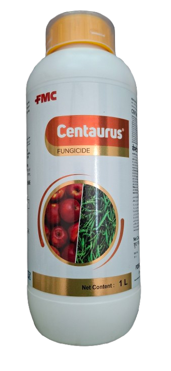 Centaurus