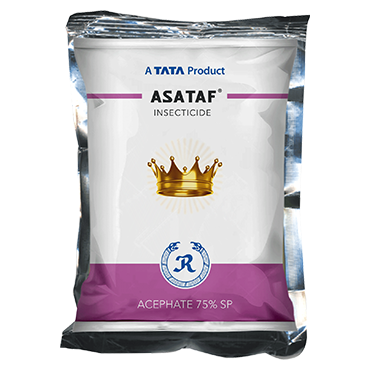 Asataf