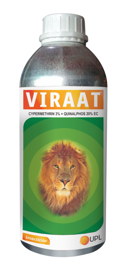 Viraat