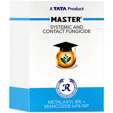 Master