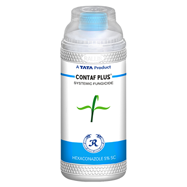 Contaf Plus