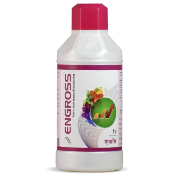 Engross