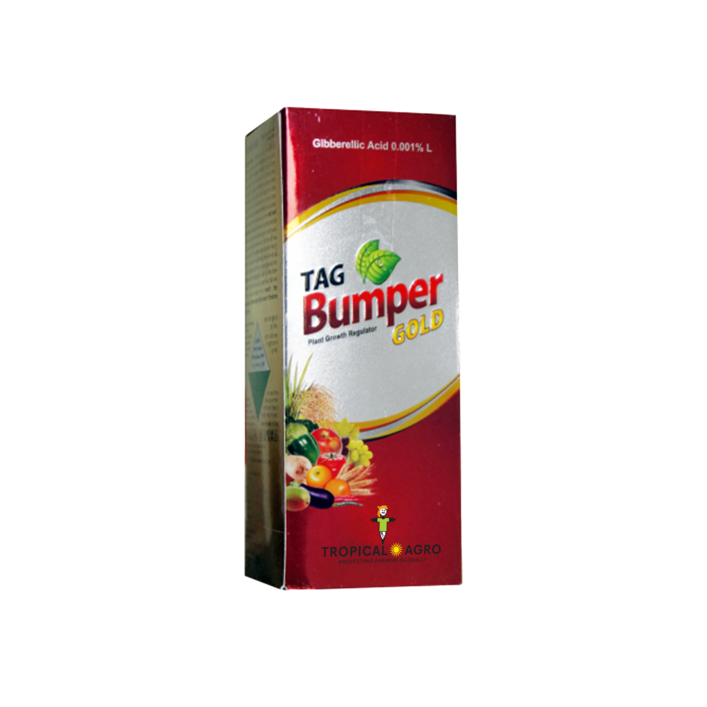 Tag Bumper Gold
