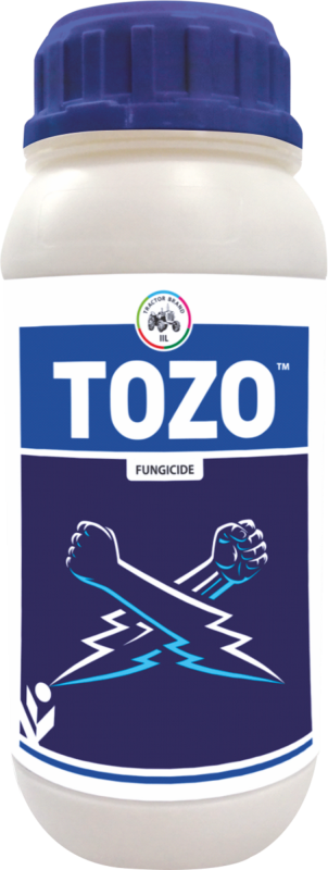 Tozo